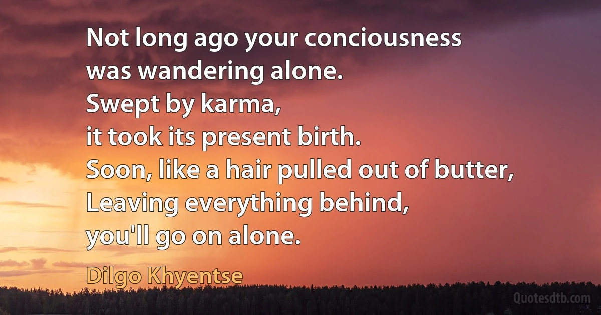 Not long ago your conciousness
was wandering alone.
Swept by karma,
it took its present birth.
Soon, like a hair pulled out of butter,
Leaving everything behind,
you'll go on alone. (Dilgo Khyentse)