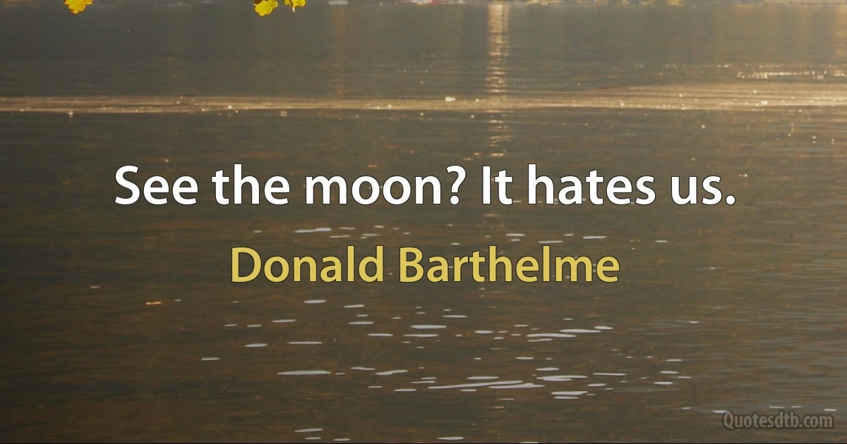 See the moon? It hates us. (Donald Barthelme)