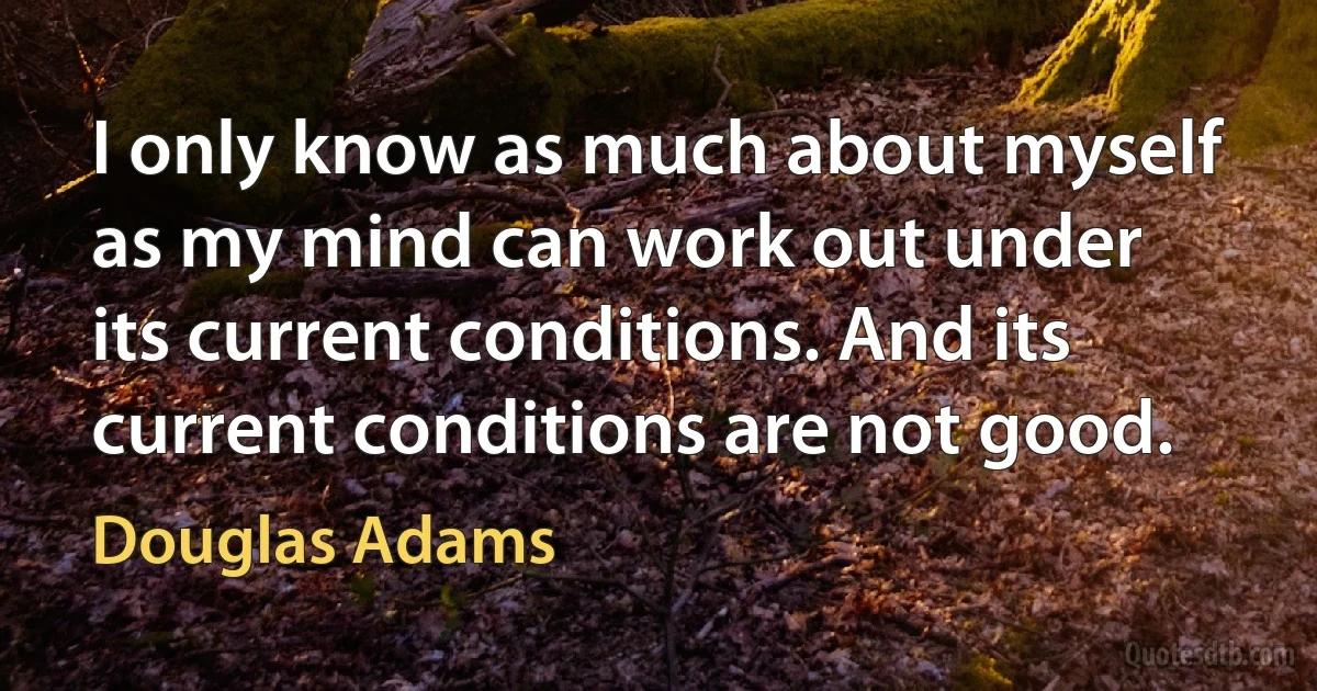 I only know as much about myself as my mind can work out under its current conditions. And its current conditions are not good. (Douglas Adams)