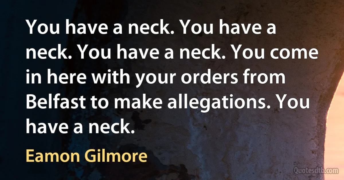 You have a neck. You have a neck. You have a neck. You come in here with your orders from Belfast to make allegations. You have a neck. (Eamon Gilmore)