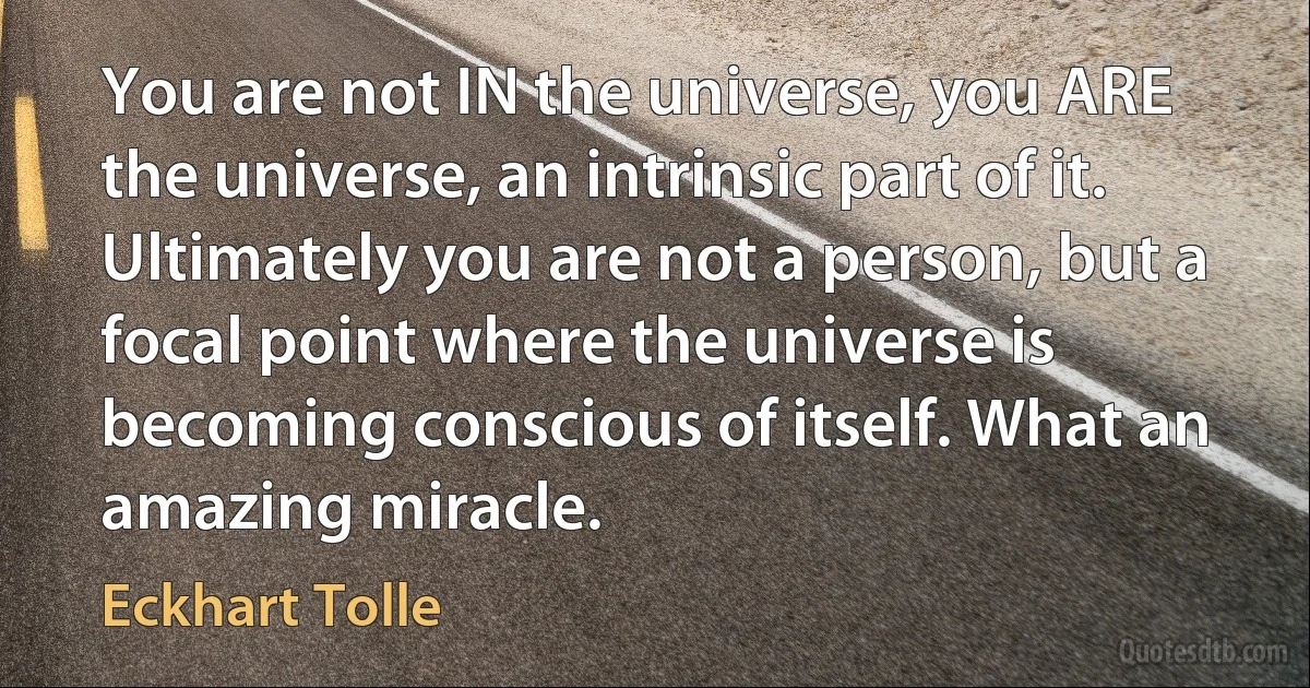 You are not IN the universe, you ARE the universe, an intrinsic part of it. Ultimately you are not a person, but a focal point where the universe is becoming conscious of itself. What an amazing miracle. (Eckhart Tolle)