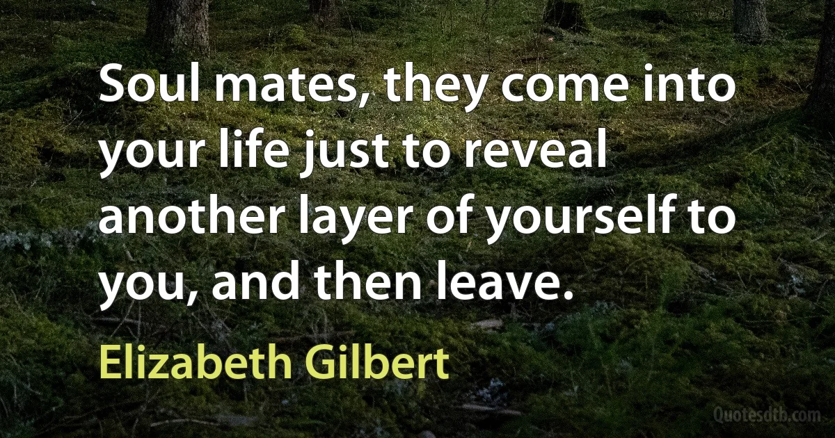 Soul mates, they come into your life just to reveal another layer of yourself to you, and then leave. (Elizabeth Gilbert)