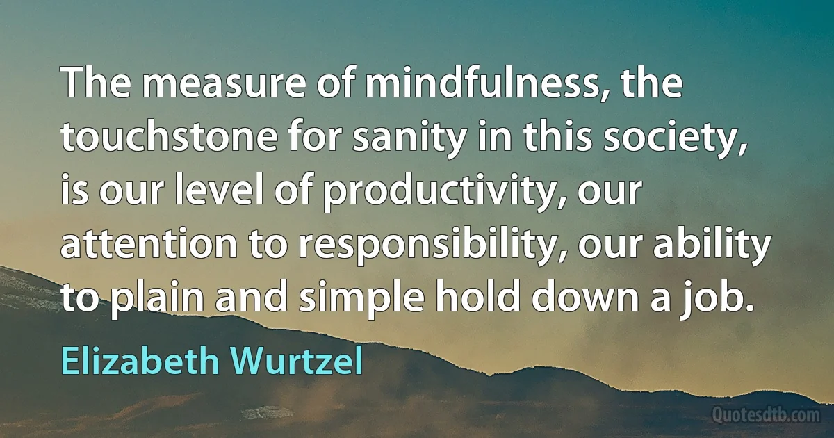 The measure of mindfulness, the touchstone for sanity in this society, is our level of productivity, our attention to responsibility, our ability to plain and simple hold down a job. (Elizabeth Wurtzel)