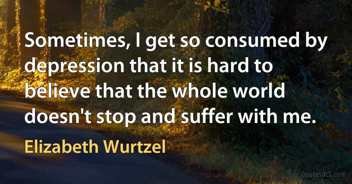 Sometimes, I get so consumed by depression that it is hard to believe that the whole world doesn't stop and suffer with me. (Elizabeth Wurtzel)