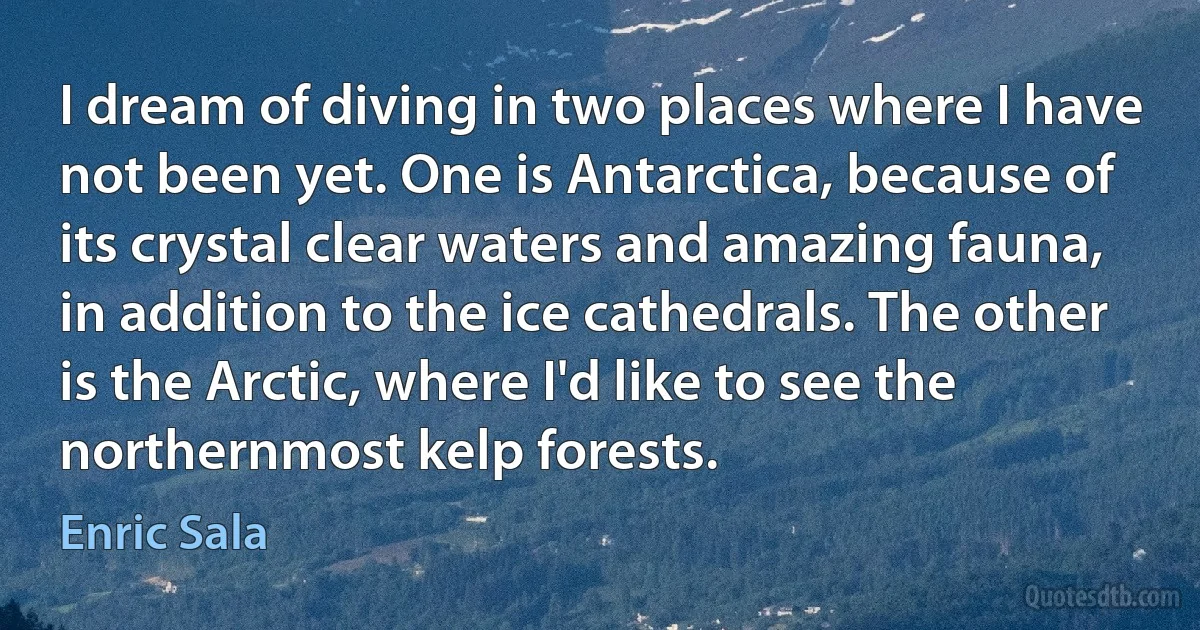 I dream of diving in two places where I have not been yet. One is Antarctica, because of its crystal clear waters and amazing fauna, in addition to the ice cathedrals. The other is the Arctic, where I'd like to see the northernmost kelp forests. (Enric Sala)