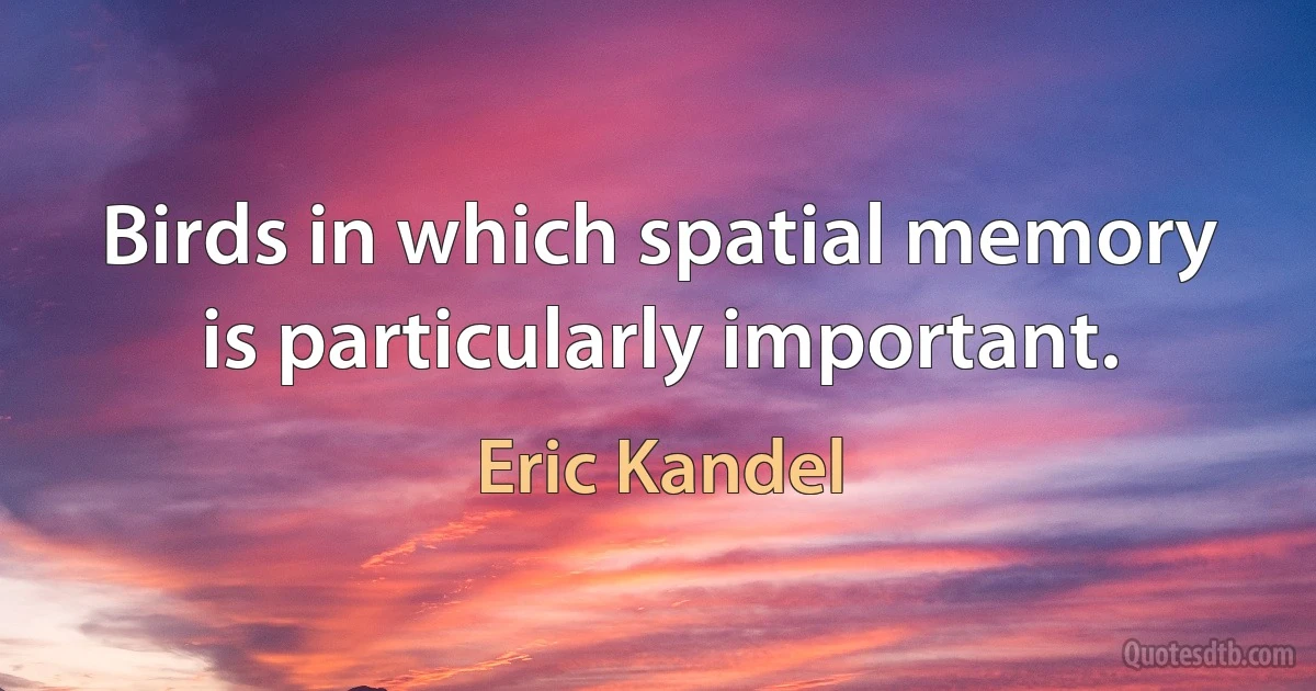 Birds in which spatial memory is particularly important. (Eric Kandel)