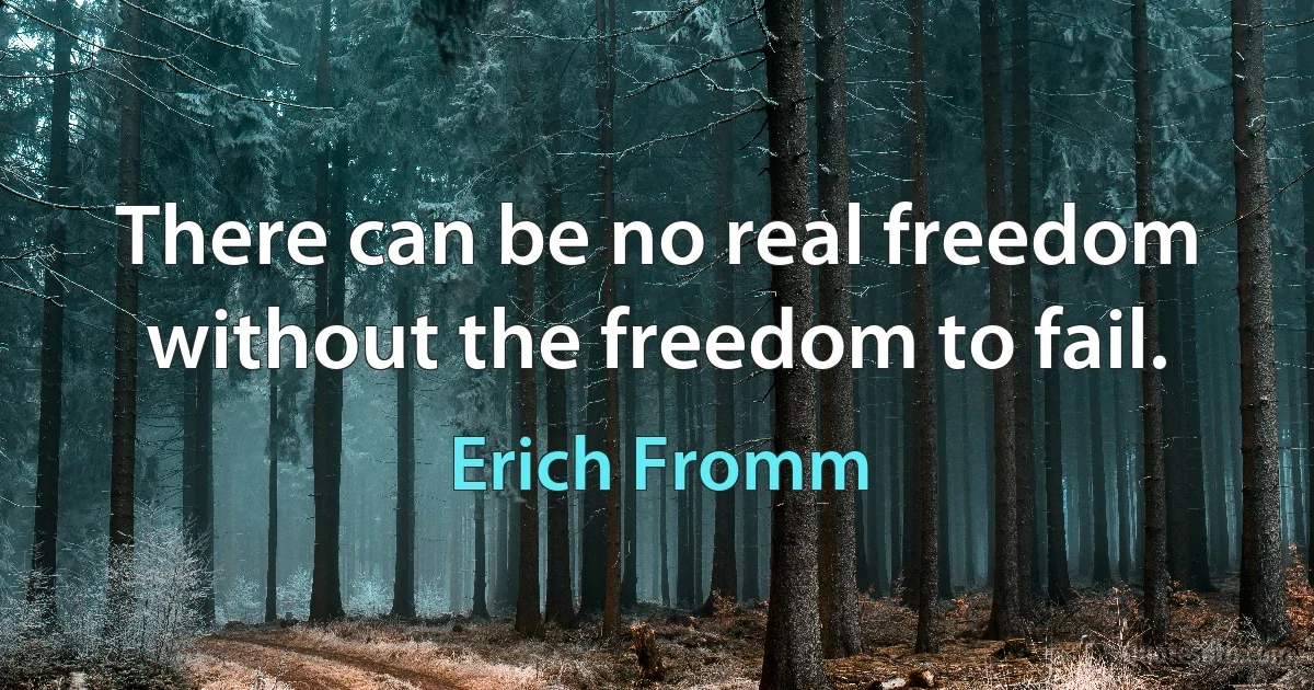 There can be no real freedom without the freedom to fail. (Erich Fromm)