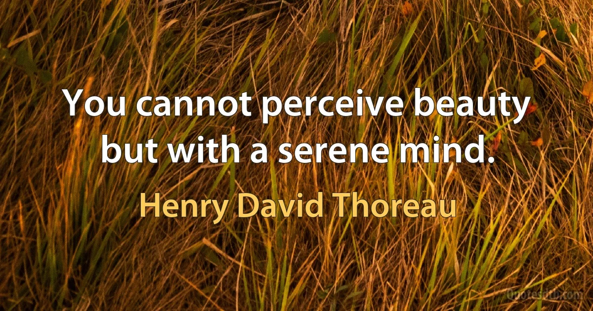 You cannot perceive beauty but with a serene mind. (Henry David Thoreau)