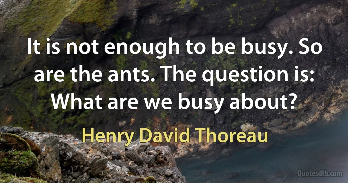 It is not enough to be busy. So are the ants. The question is: What are we busy about? (Henry David Thoreau)