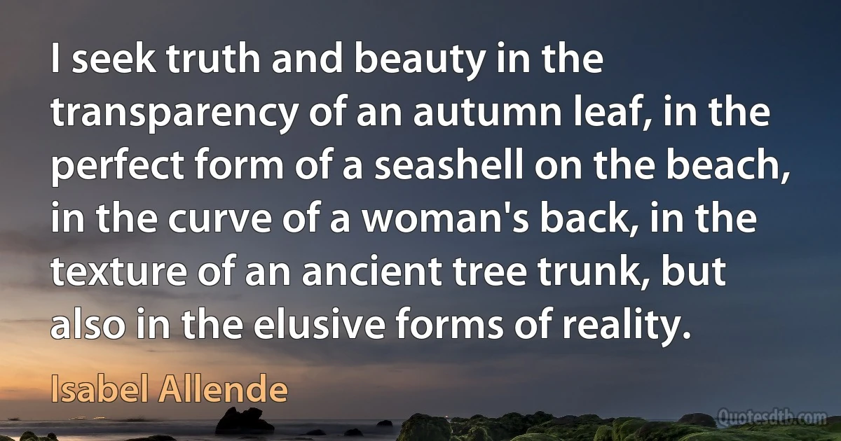 I seek truth and beauty in the transparency of an autumn leaf, in the perfect form of a seashell on the beach, in the curve of a woman's back, in the texture of an ancient tree trunk, but also in the elusive forms of reality. (Isabel Allende)