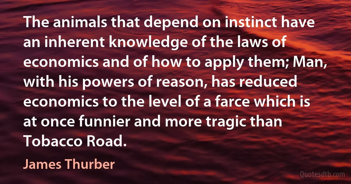 The animals that depend on instinct have an inherent knowledge of the laws of economics and of how to apply them; Man, with his powers of reason, has reduced economics to the level of a farce which is at once funnier and more tragic than Tobacco Road. (James Thurber)