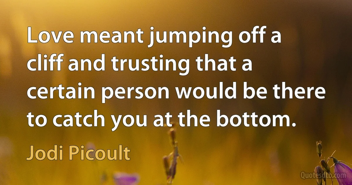 Love meant jumping off a cliff and trusting that a certain person would be there to catch you at the bottom. (Jodi Picoult)