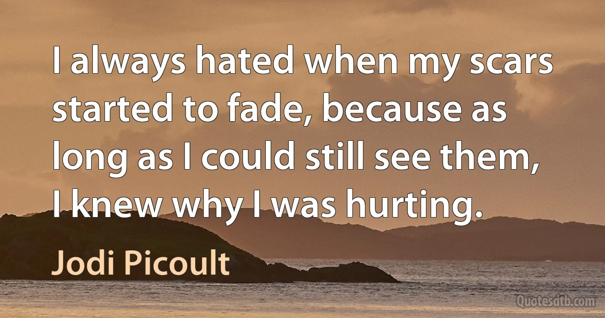 I always hated when my scars started to fade, because as long as I could still see them, I knew why I was hurting. (Jodi Picoult)