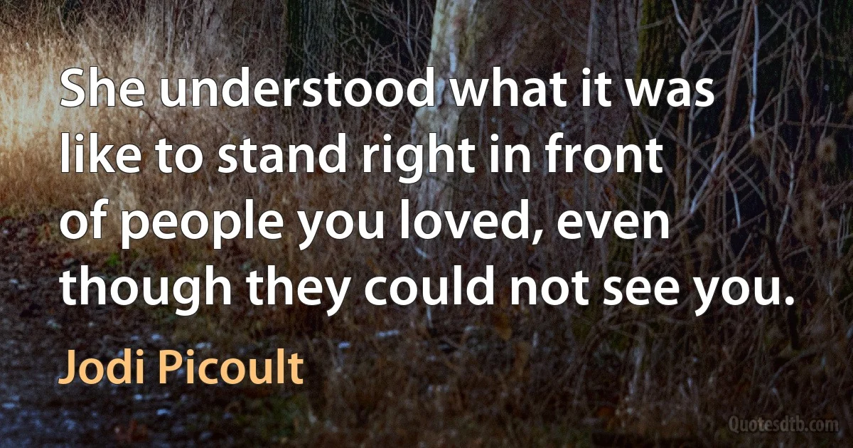 She understood what it was like to stand right in front of people you loved, even though they could not see you. (Jodi Picoult)