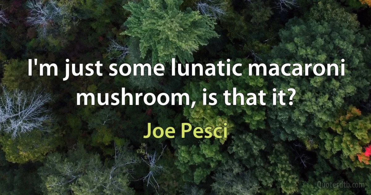 I'm just some lunatic macaroni mushroom, is that it? (Joe Pesci)