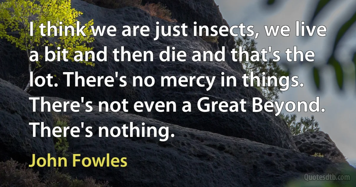 I think we are just insects, we live a bit and then die and that's the lot. There's no mercy in things. There's not even a Great Beyond. There's nothing. (John Fowles)