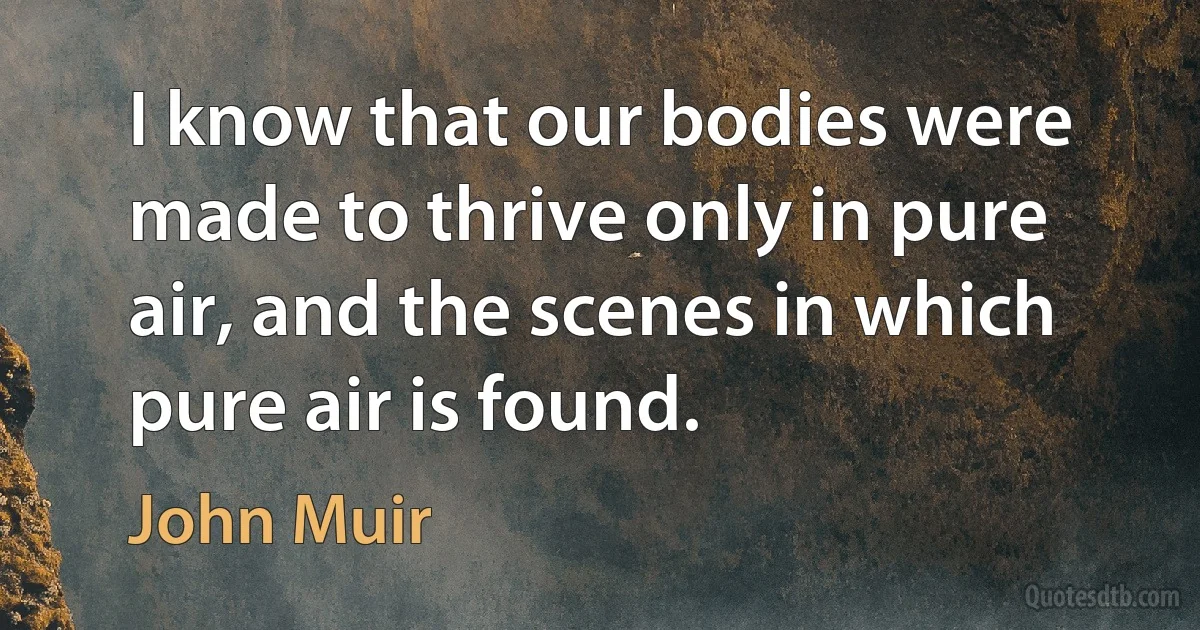 I know that our bodies were made to thrive only in pure air, and the scenes in which pure air is found. (John Muir)