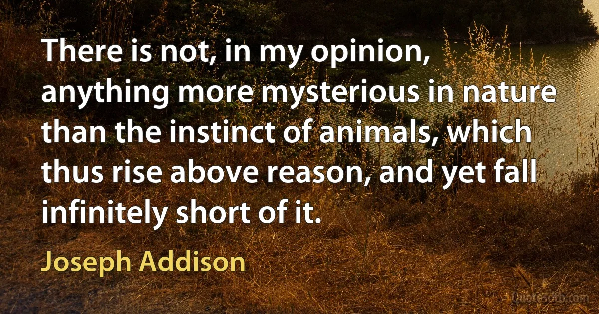 There is not, in my opinion, anything more mysterious in nature than the instinct of animals, which thus rise above reason, and yet fall infinitely short of it. (Joseph Addison)