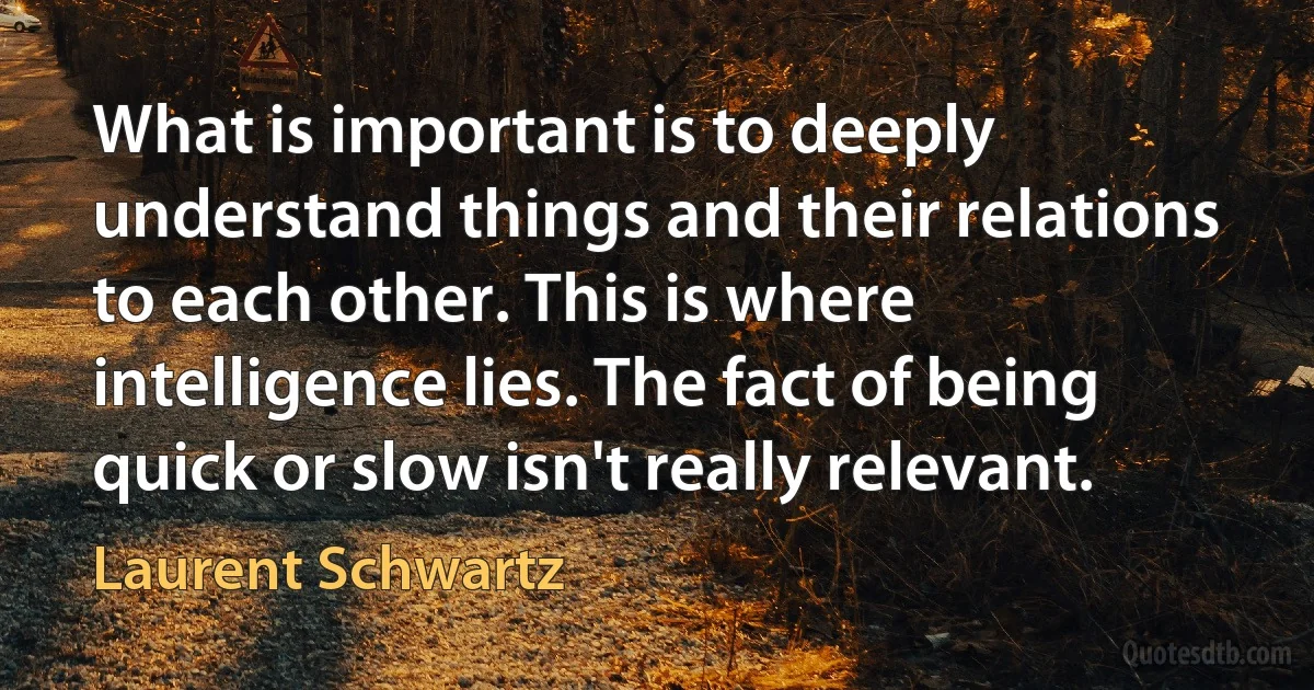 What is important is to deeply understand things and their relations to each other. This is where intelligence lies. The fact of being quick or slow isn't really relevant. (Laurent Schwartz)