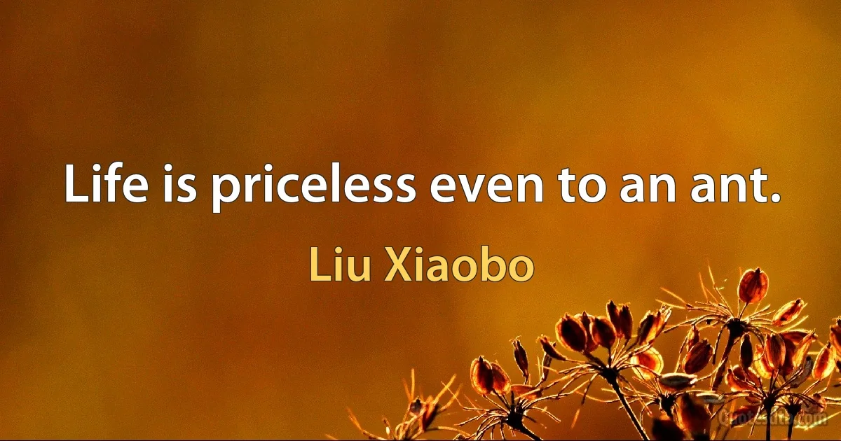 Life is priceless even to an ant. (Liu Xiaobo)