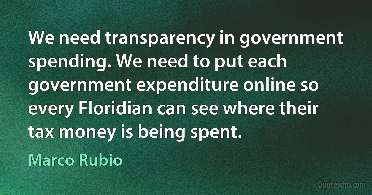 We need transparency in government spending. We need to put each government expenditure online so every Floridian can see where their tax money is being spent. (Marco Rubio)