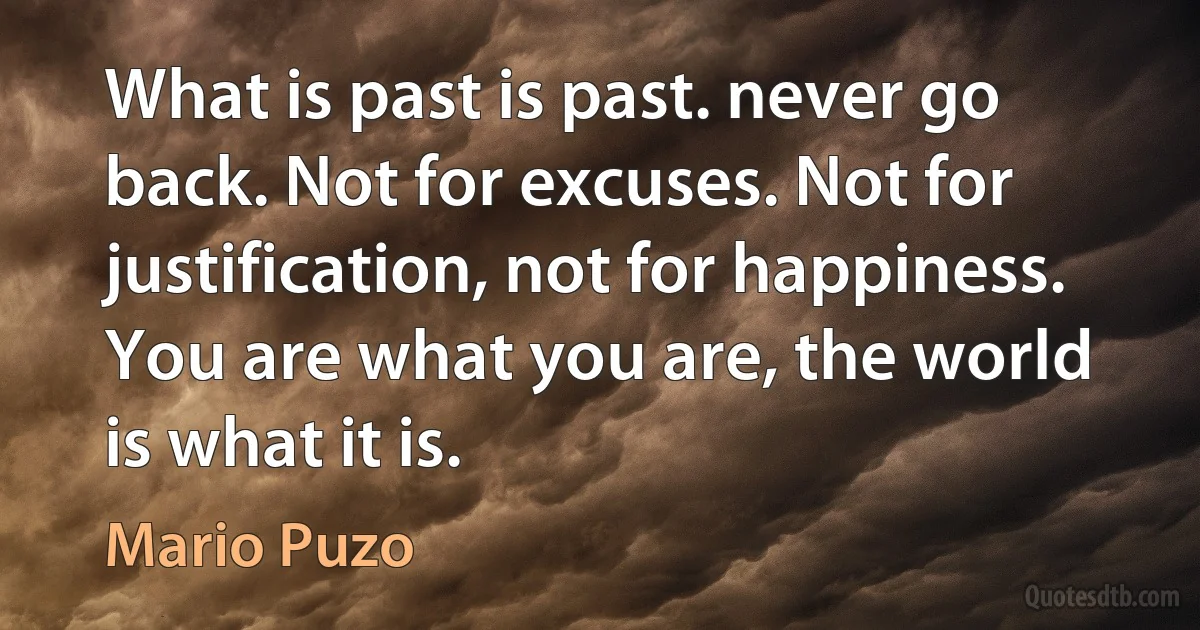 What is past is past. never go back. Not for excuses. Not for justification, not for happiness. You are what you are, the world is what it is. (Mario Puzo)