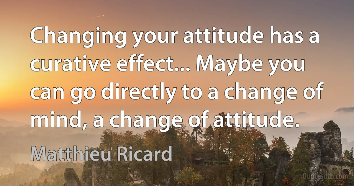 Changing your attitude has a curative effect... Maybe you can go directly to a change of mind, a change of attitude. (Matthieu Ricard)