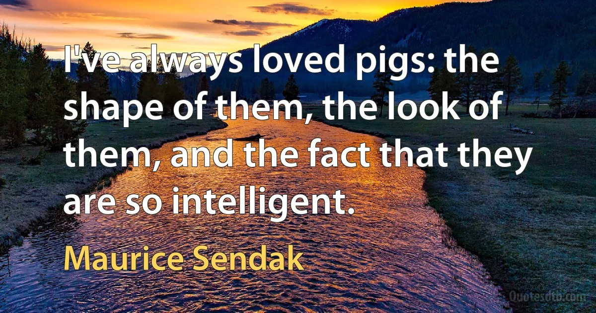 I've always loved pigs: the shape of them, the look of them, and the fact that they are so intelligent. (Maurice Sendak)