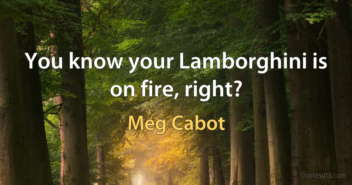 You know your Lamborghini is on fire, right? (Meg Cabot)