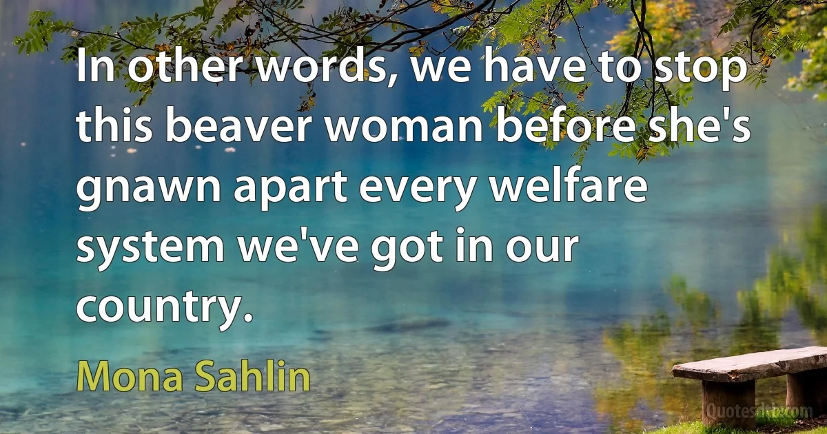 In other words, we have to stop this beaver woman before she's gnawn apart every welfare system we've got in our country. (Mona Sahlin)