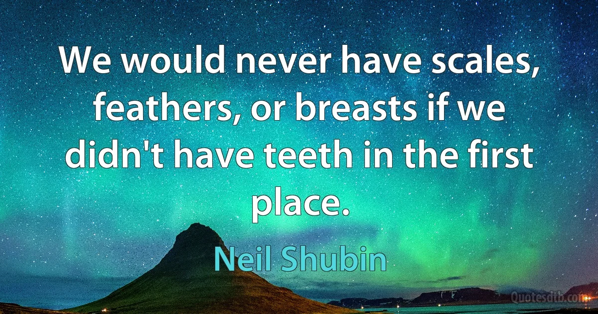 We would never have scales, feathers, or breasts if we didn't have teeth in the first place. (Neil Shubin)