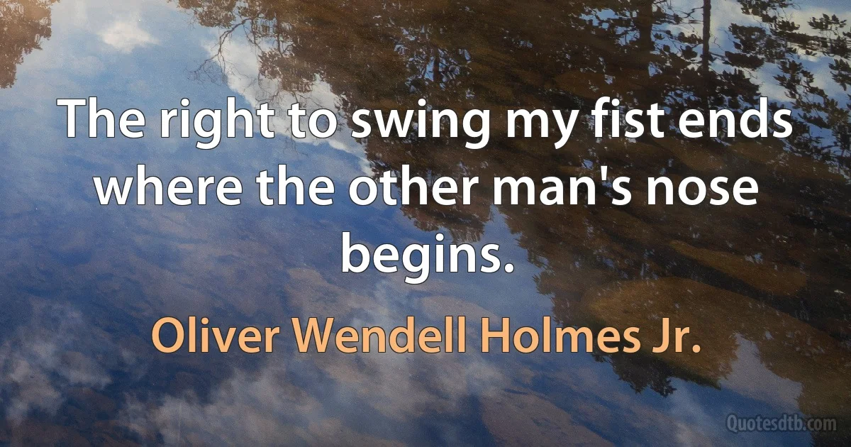 The right to swing my fist ends where the other man's nose begins. (Oliver Wendell Holmes Jr.)