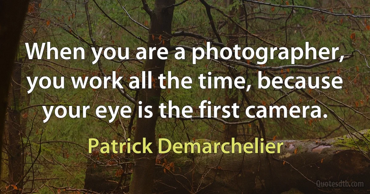 When you are a photographer, you work all the time, because your eye is the first camera. (Patrick Demarchelier)