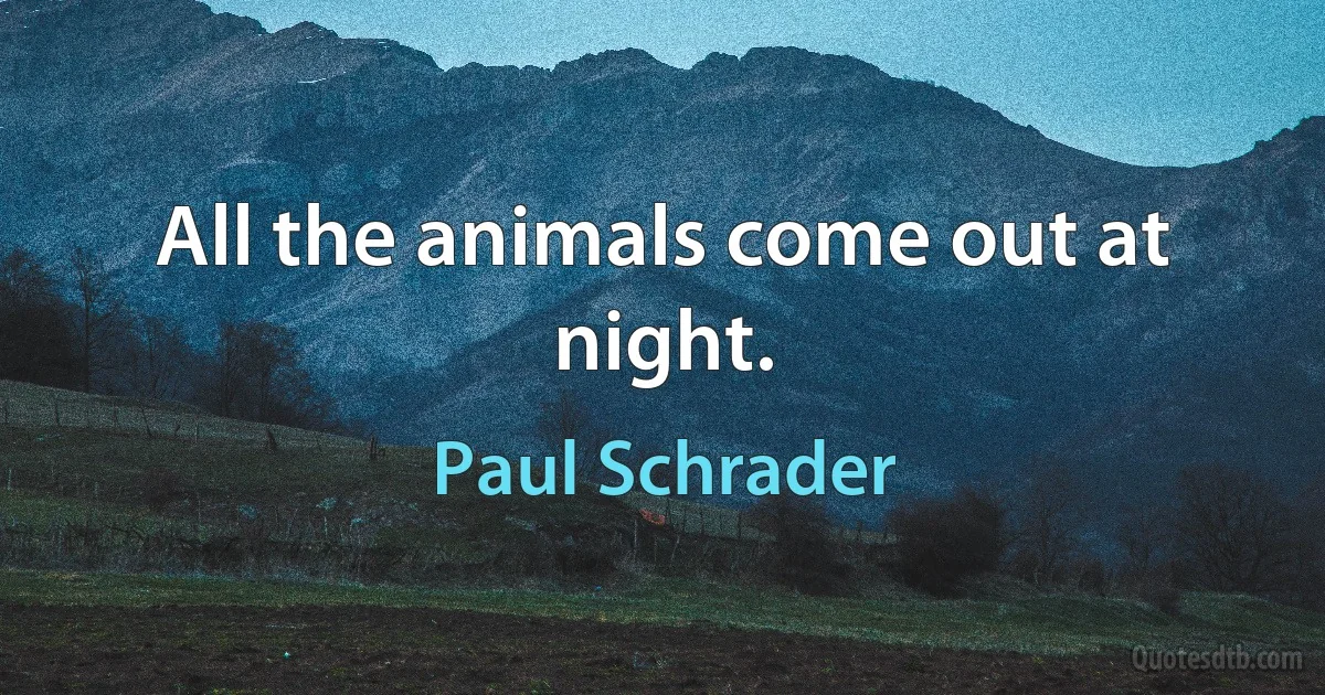 All the animals come out at night. (Paul Schrader)