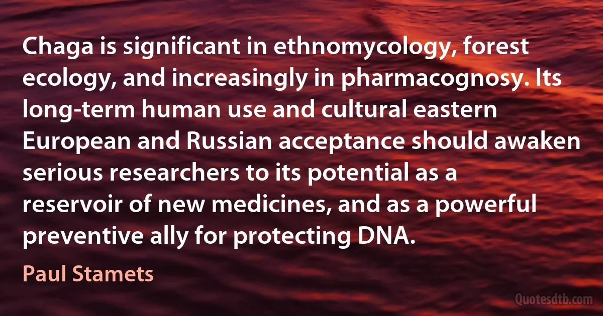 Chaga is significant in ethnomycology, forest ecology, and increasingly in pharmacognosy. Its long-term human use and cultural eastern European and Russian acceptance should awaken serious researchers to its potential as a reservoir of new medicines, and as a powerful preventive ally for protecting DNA. (Paul Stamets)