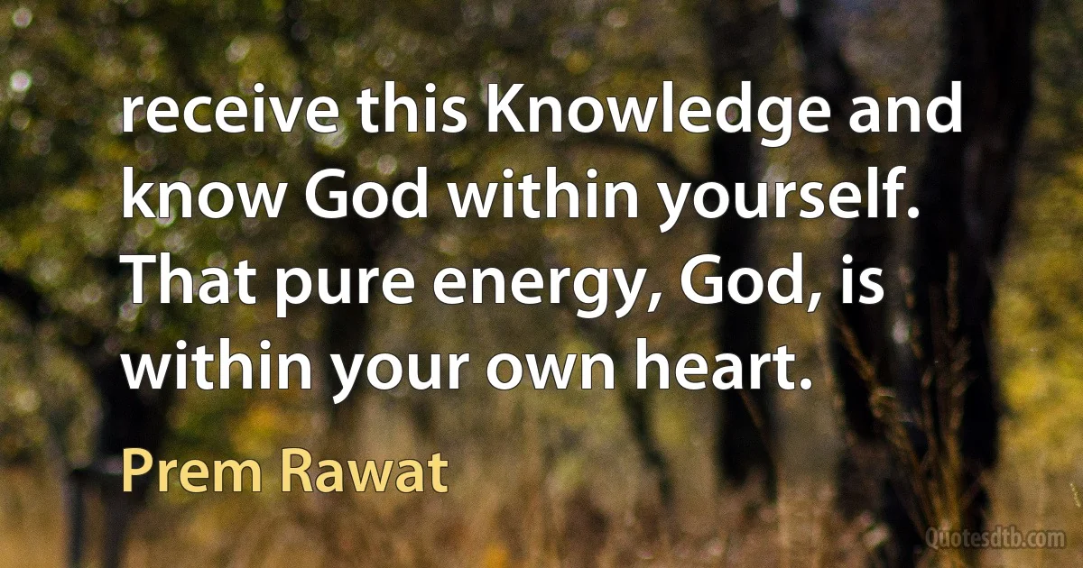 receive this Knowledge and know God within yourself. That pure energy, God, is within your own heart. (Prem Rawat)