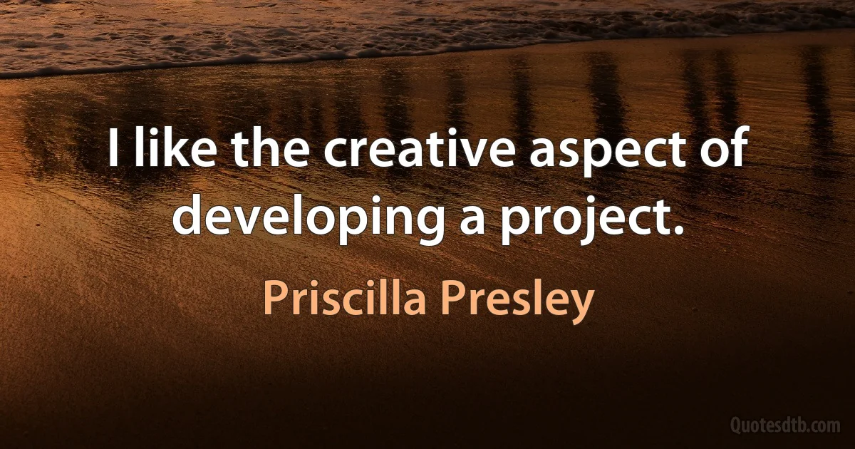 I like the creative aspect of developing a project. (Priscilla Presley)