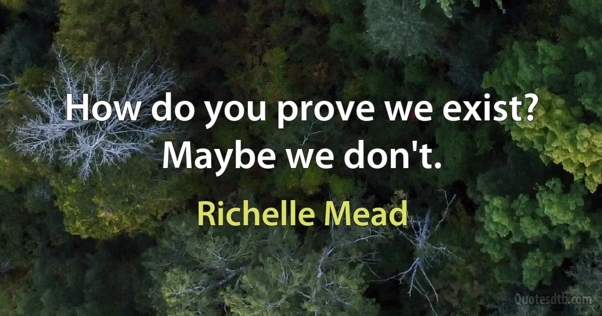 How do you prove we exist? Maybe we don't. (Richelle Mead)