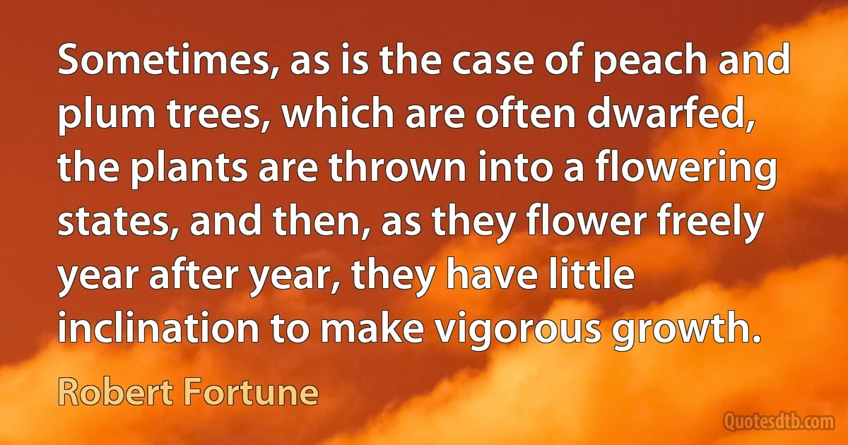 Sometimes, as is the case of peach and plum trees, which are often dwarfed, the plants are thrown into a flowering states, and then, as they flower freely year after year, they have little inclination to make vigorous growth. (Robert Fortune)