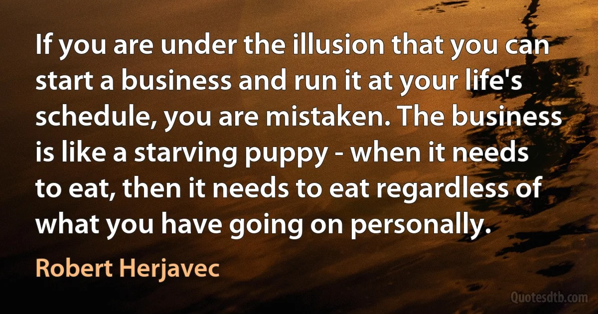 If you are under the illusion that you can start a business and run it at your life's schedule, you are mistaken. The business is like a starving puppy - when it needs to eat, then it needs to eat regardless of what you have going on personally. (Robert Herjavec)