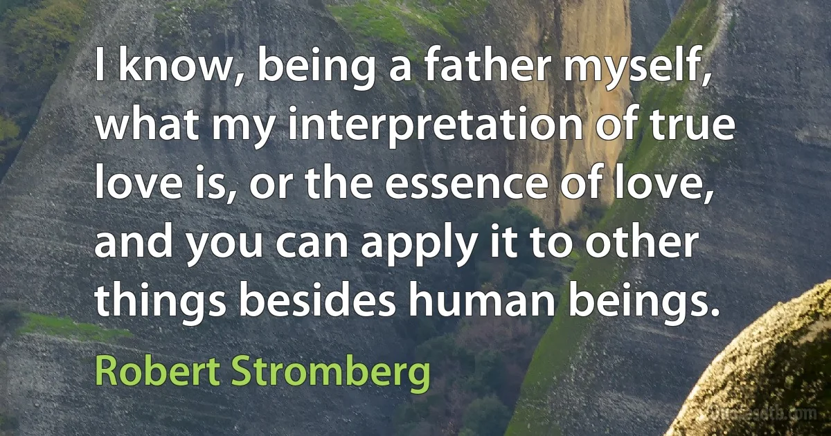 I know, being a father myself, what my interpretation of true love is, or the essence of love, and you can apply it to other things besides human beings. (Robert Stromberg)