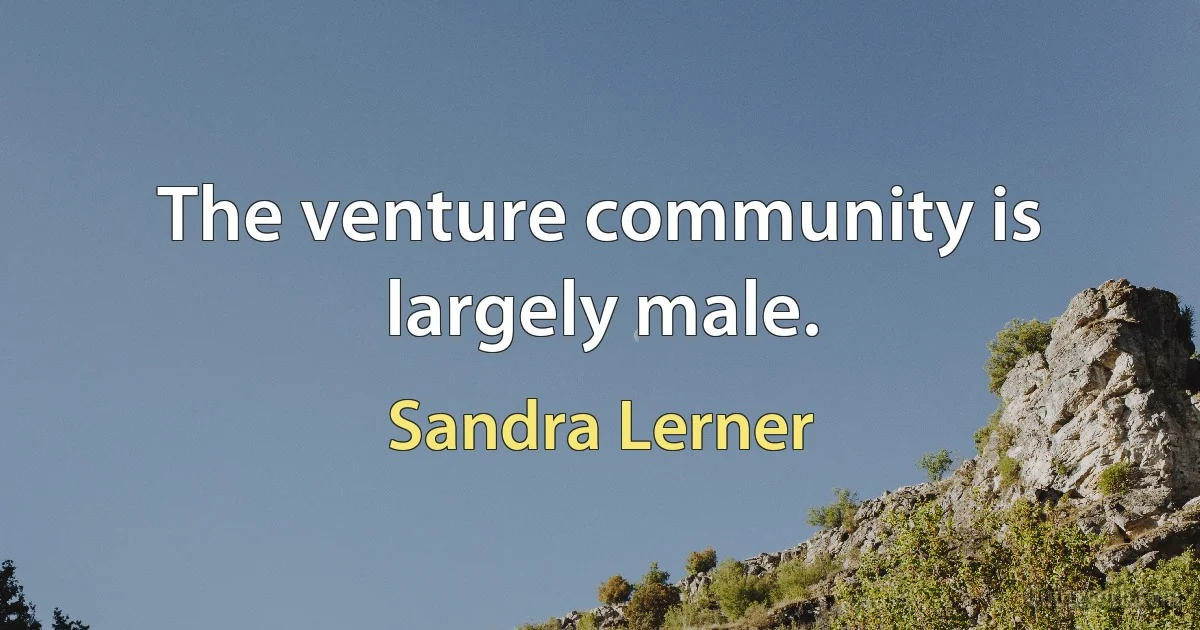 The venture community is largely male. (Sandra Lerner)