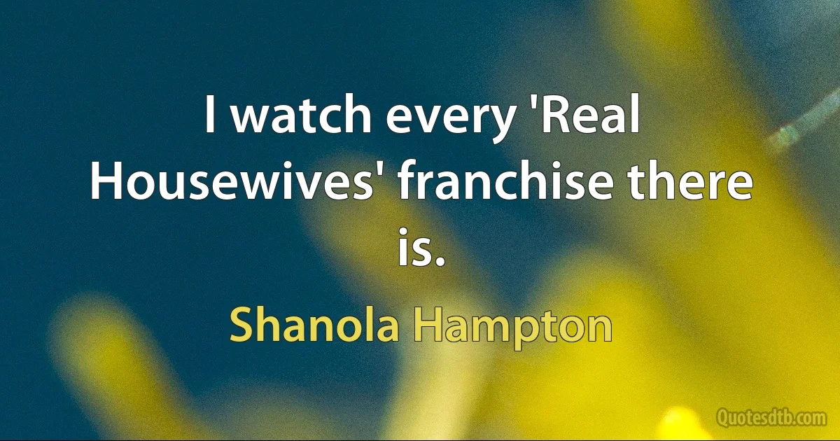 I watch every 'Real Housewives' franchise there is. (Shanola Hampton)