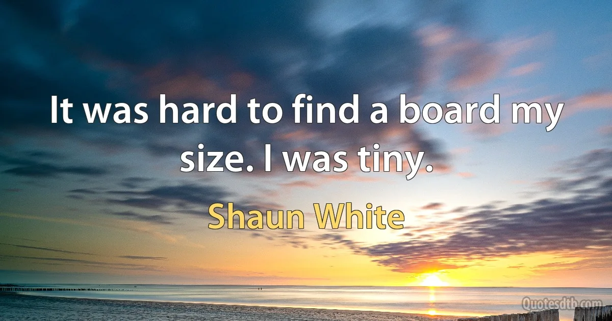 It was hard to find a board my size. I was tiny. (Shaun White)