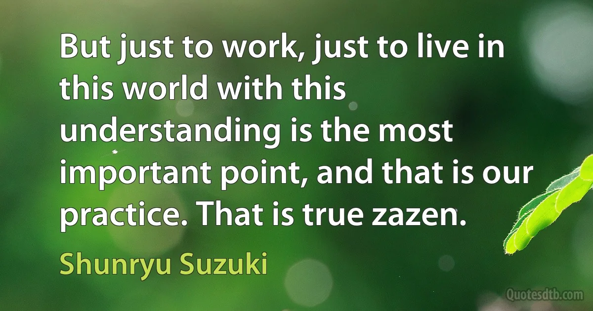 But just to work, just to live in this world with this understanding is the most important point, and that is our practice. That is true zazen. (Shunryu Suzuki)