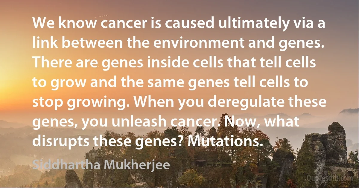 We know cancer is caused ultimately via a link between the environment and genes. There are genes inside cells that tell cells to grow and the same genes tell cells to stop growing. When you deregulate these genes, you unleash cancer. Now, what disrupts these genes? Mutations. (Siddhartha Mukherjee)