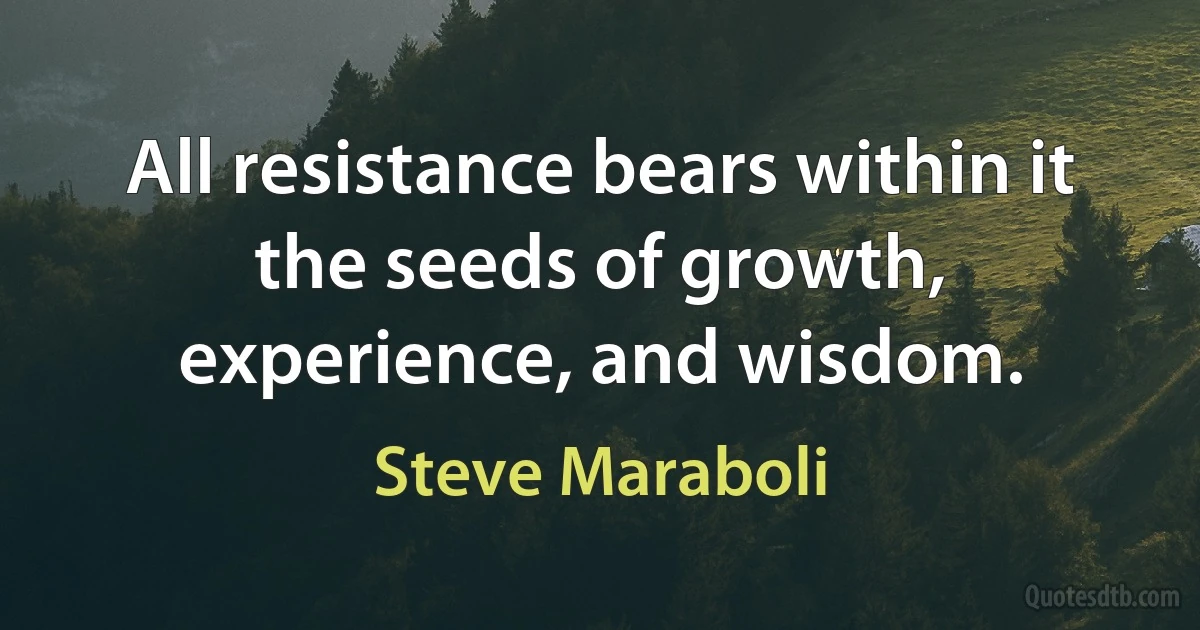 All resistance bears within it the seeds of growth, experience, and wisdom. (Steve Maraboli)