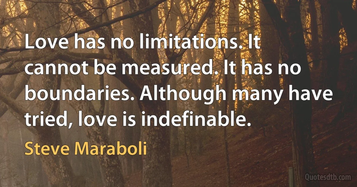 Love has no limitations. It cannot be measured. It has no boundaries. Although many have tried, love is indefinable. (Steve Maraboli)