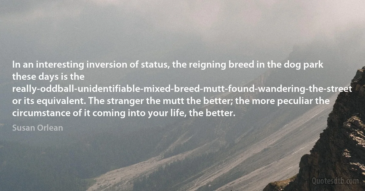 In an interesting inversion of status, the reigning breed in the dog park these days is the really-oddball-unidentifiable-mixed-breed-mutt-found-wandering-the-street or its equivalent. The stranger the mutt the better; the more peculiar the circumstance of it coming into your life, the better. (Susan Orlean)