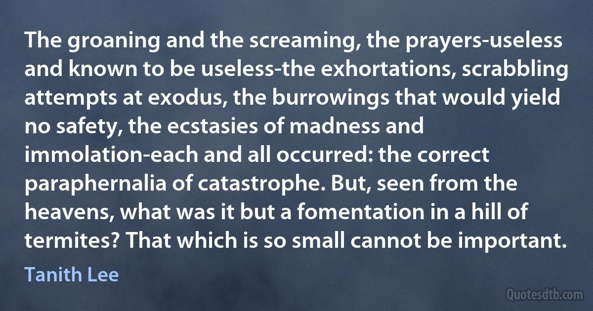 The groaning and the screaming, the prayers-useless and known to be useless-the exhortations, scrabbling attempts at exodus, the burrowings that would yield no safety, the ecstasies of madness and immolation-each and all occurred: the correct paraphernalia of catastrophe. But, seen from the heavens, what was it but a fomentation in a hill of termites? That which is so small cannot be important. (Tanith Lee)